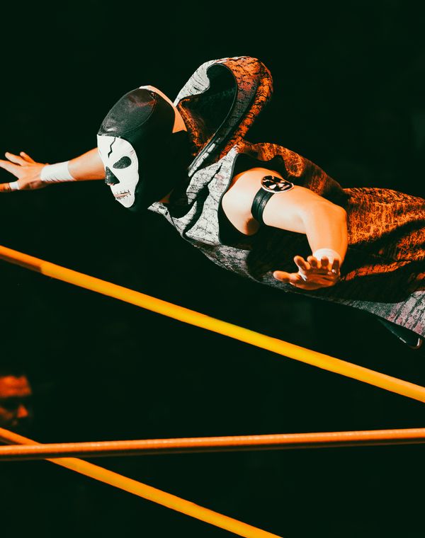 Paige in action